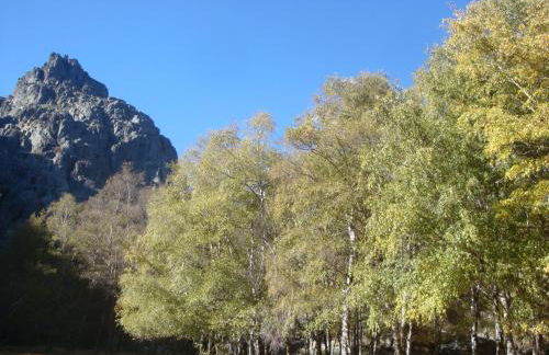 O Sótão do Mé-Mé - Foto 1