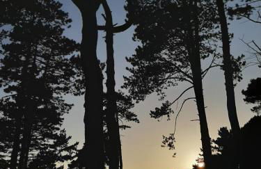 Il Campanile Civico 35 - Foto 30