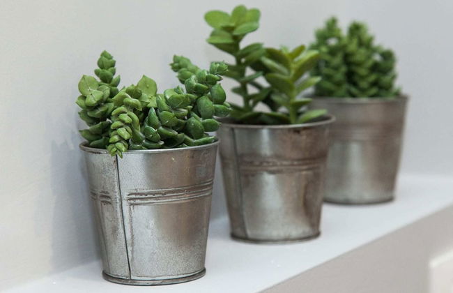 Renovated Gem in Zografou - Foto 39