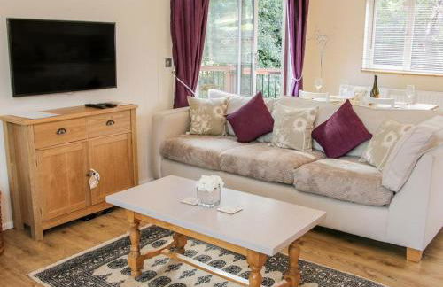 Alder River Lodge Clun Valley Luxury Hot Tub Break - Foto 6