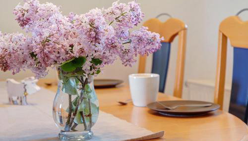 Ferienwohnungen große Albferien - Foto 5