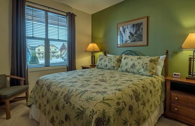 5 Br: Black Bear Crossing #4 - Foto 2