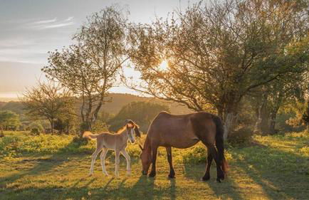 Hanger Farmhouse Hideaway - Foto 23