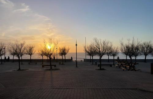 Appartement HOSSEGOR plage SUD Classé 3 étoiles - Foto 49