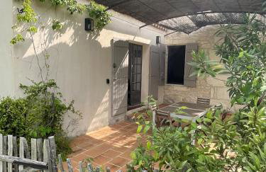 Le Mazet de la pointe dans les Alpilles avec piscine et jardin - Foto 24