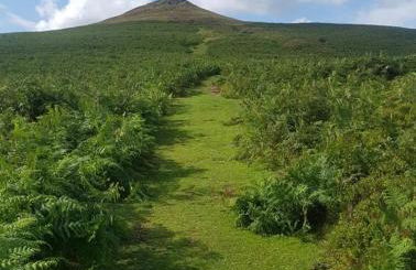 stylish and modern Spacious 2 bedroom apartment - Photo 21