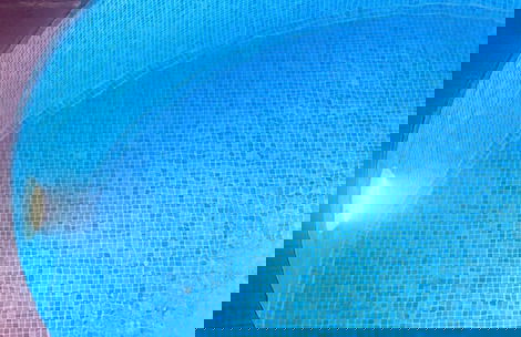 Natural Life Bungalows Sapanca - Photo 42