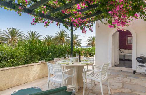 Bougainvillea House in Crete - Foto 3