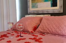 Will Container Experience - Foto 44