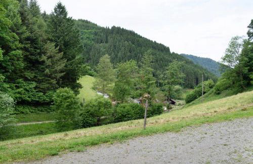 Appartment Waldblick Mühlenbach - Foto 36