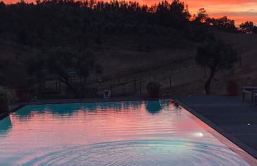 Gecko Pego Longo - Foto 52