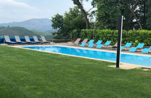 Bosque da Harmonia - Foto 59