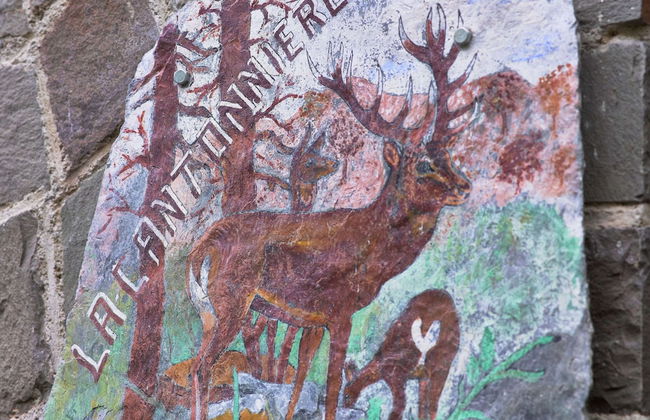 Peaceful Garden Home, Chevron - Photo 20