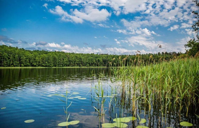 Wooden Home by Lake Klepnicko With Pier - Foto 19