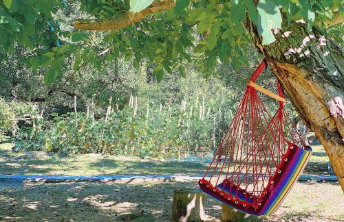 The Cottage in the Trees - Foto 33