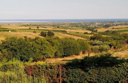 Sevasti Country House - Photo 6