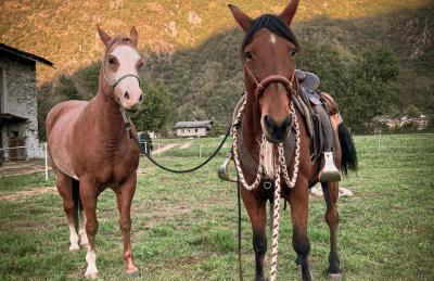 Chalet Valchiavenna - Foto 13