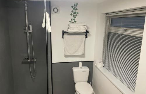 Roseville - Photo 10