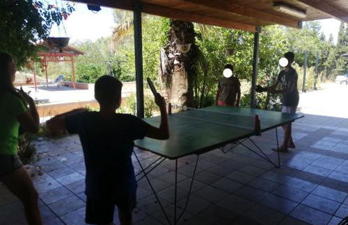 Spacious Garden Villa, private pool, huge grounds with orange trees - Foto 24