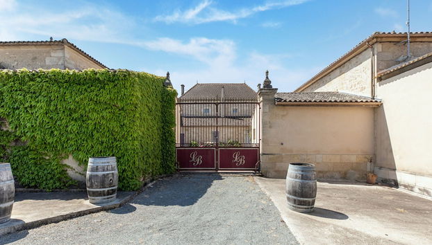 Elegant Chateau Escape - Foto 3, Recepción