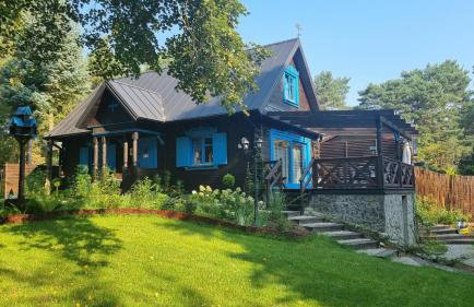 Niezapominajka - Foto 1