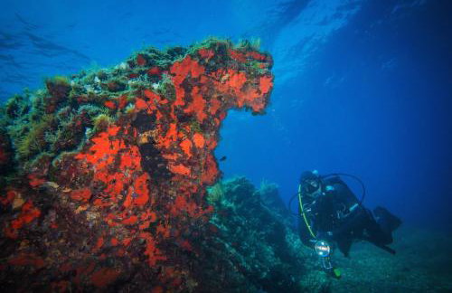 Golden view luxury apartment - Photo 47