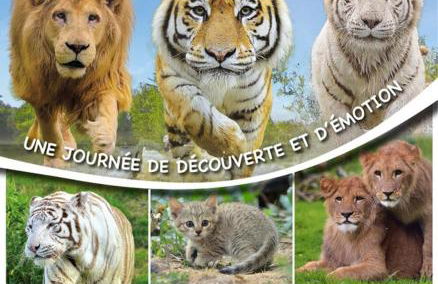 Maisonnette Migahome - Foto 55