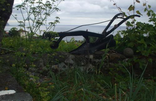 Adega do Batista - Photo 20