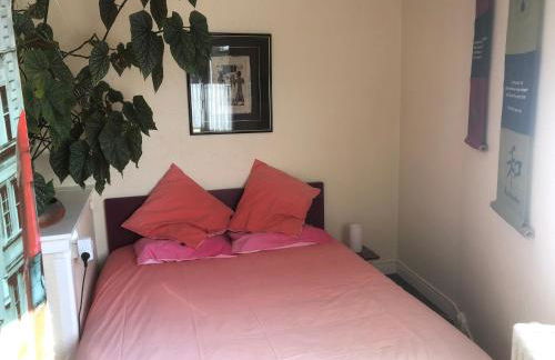 J'offre - Proche de l'hyper centre - Foto 6