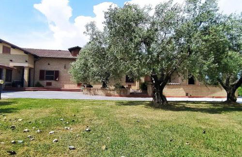 Casolare L'Antico Olivo - Foto 9