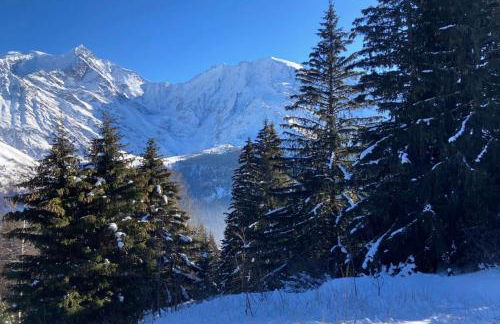 T2 with pool in Saint-Gervais-les-Bains - Foto 4