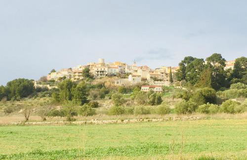 Gites Velaux Ecureuil et Pinède - Photo 3
