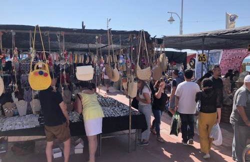 Aunt Antonia Beach House - Photo 48