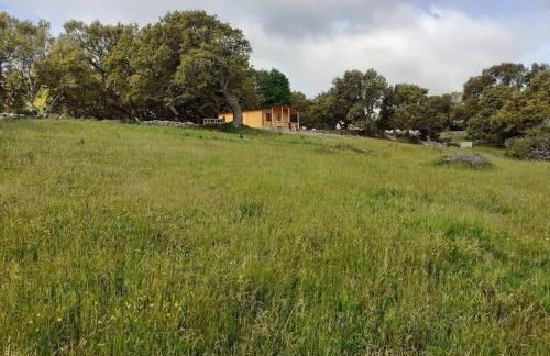 Eco Lodge nella natura Con Piscina privata "La Grande Quercia" - Foto 71
