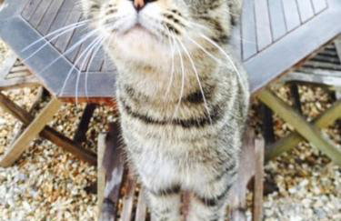 Escape Pod in Devon, 5 mins from beach + parking - Foto 63