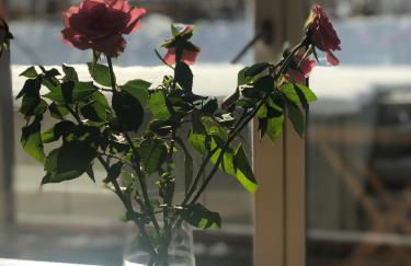 Ferienhaus Chalets Inzell - Foto 27