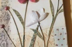 Masseria Frangiosa - Foto 93