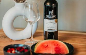 Mount Tabor Ranch near VT - King Bed/Fast Wi-Fi - Foto 38