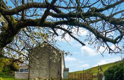 Lower Farm - Foto 29