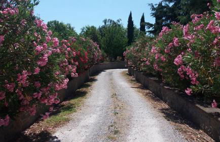 Villa San marco - Foto 36