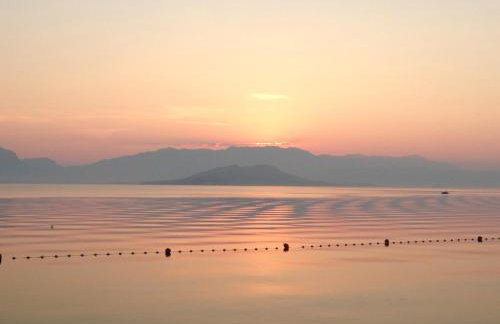 Luxury Poolside Villa - Photo 43