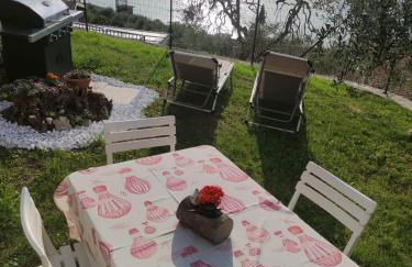 Dal Mariano - Foto 50