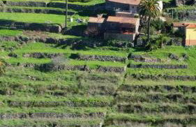 Casas Rurales Los Manantiales - Foto 6