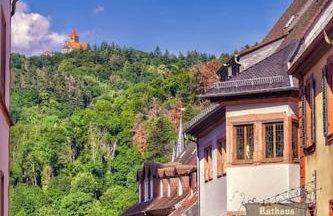 Ferienwohnung zwischen Weinheim und Hemsbach - Foto 23