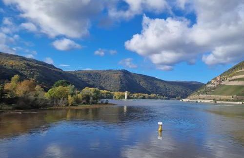 Ferienwohnung Rheinblick - Foto 17