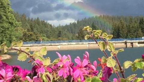 Holidayhaus Lütsche - Photo 3