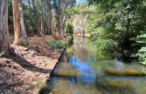 Casa do Sardão - Foto 28