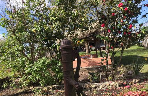 Villa coco 9 personnes jardin proche Beauval - Foto 39