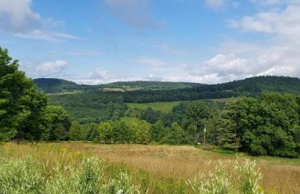 Hillcrest Cottage - Charming Cottage with hot tub and view! - Photo 5