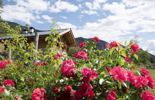 Baita dei Fovi - Foto 27